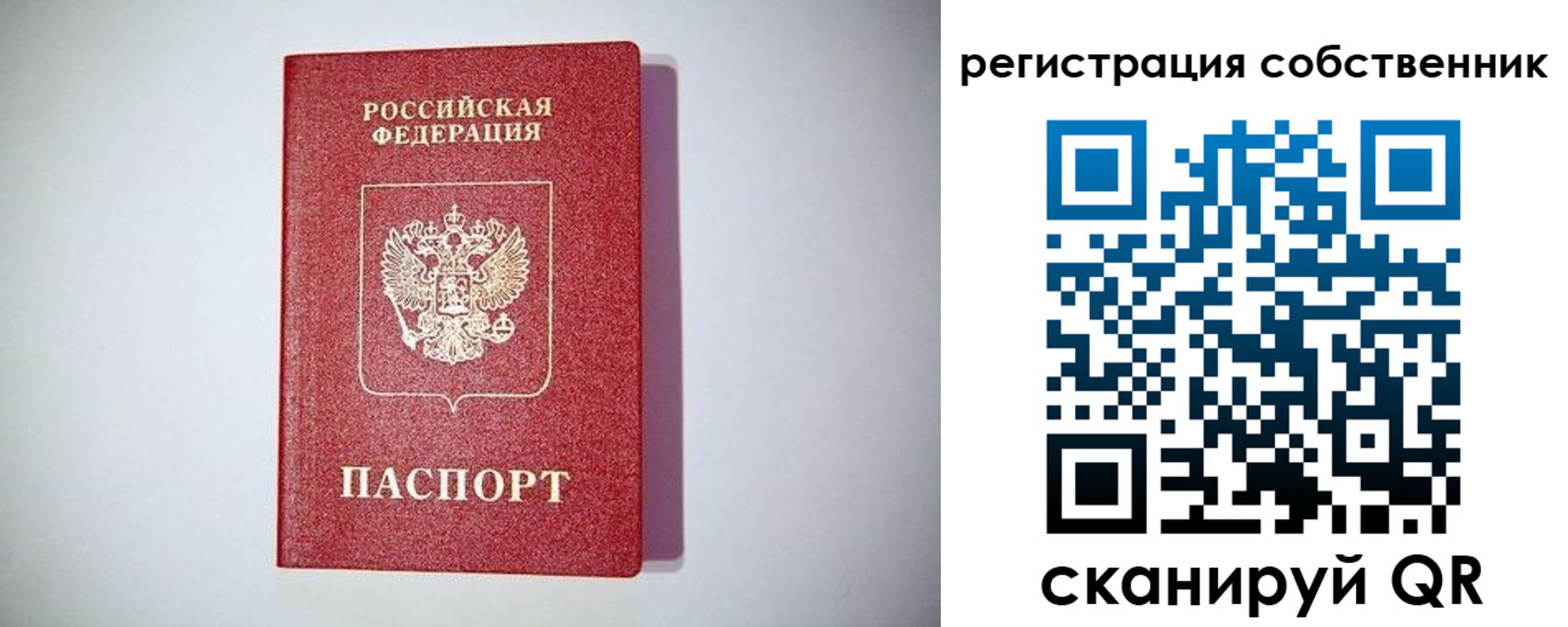 временная регистрация для школы в Александровске-Сахалинском